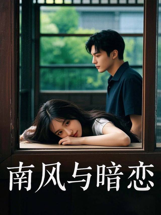 南风与暗恋封面