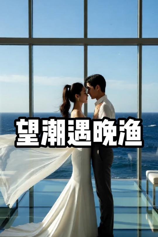 望潮遇晚渔封面