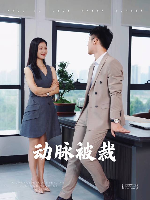 动脉被裁封面