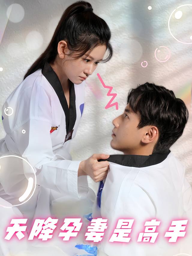 天降孕妻是高手封面