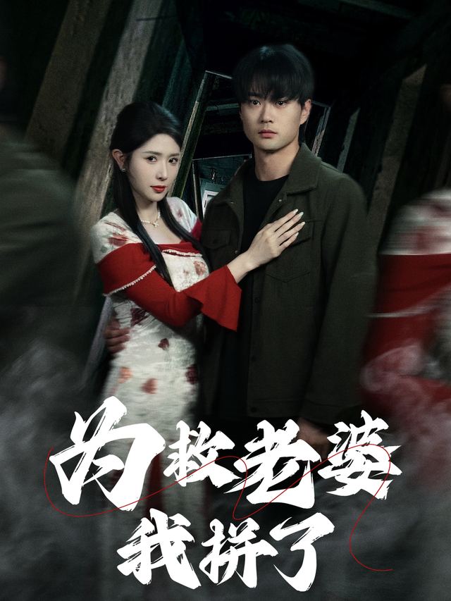 为救老婆我拼了封面