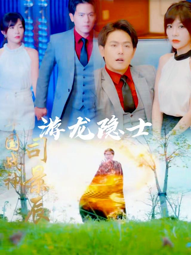 游龙隐士封面