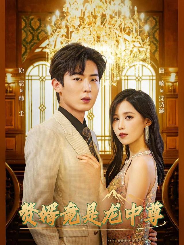 赘婿竟是龙中尊封面