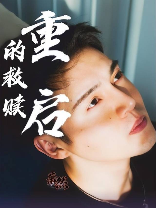重启的救赎封面