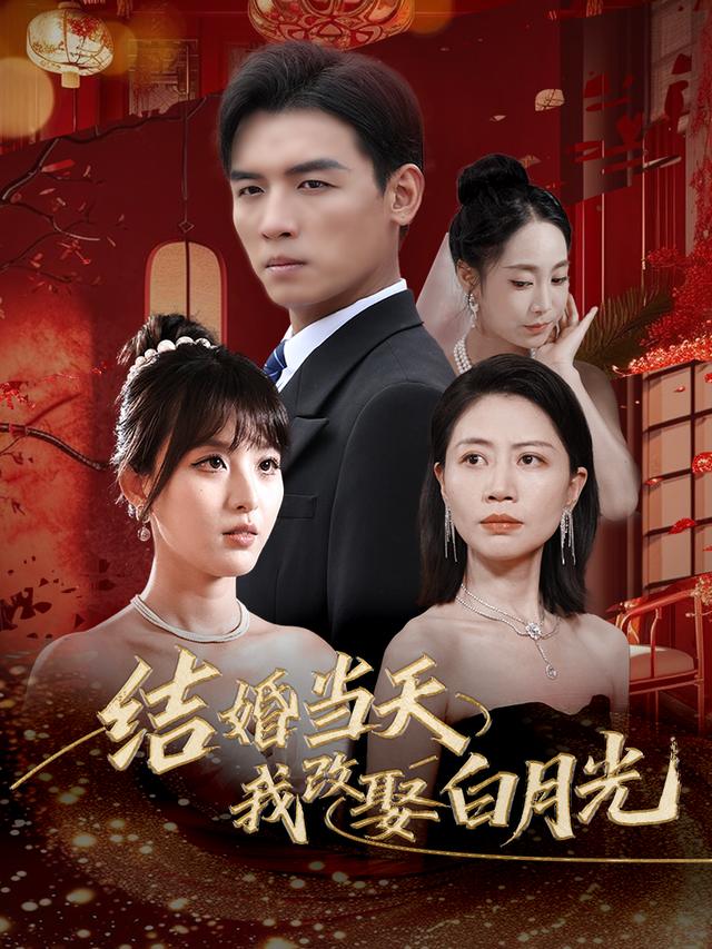 结婚当天我改娶白月光封面