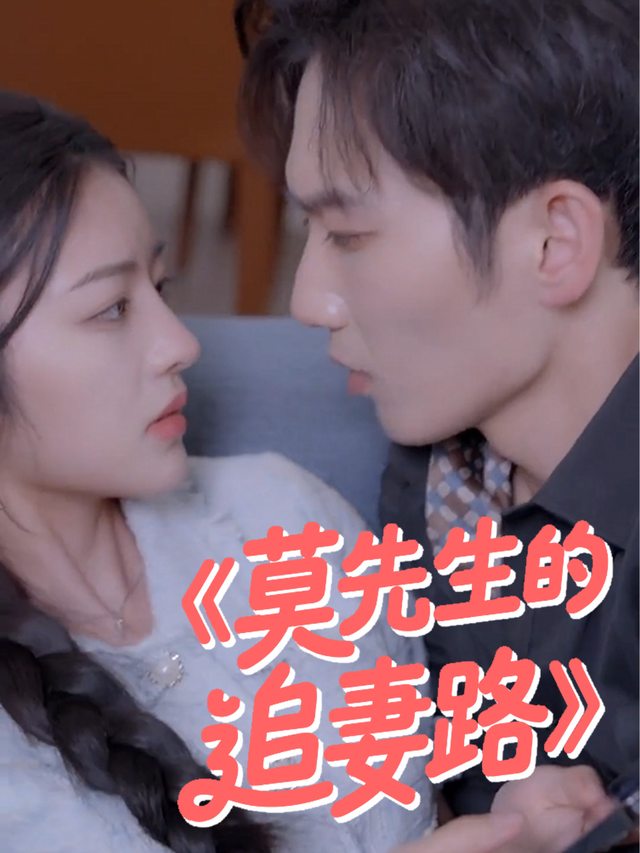 莫先生的追妻路封面