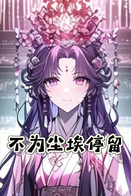 不为尘埃停留封面