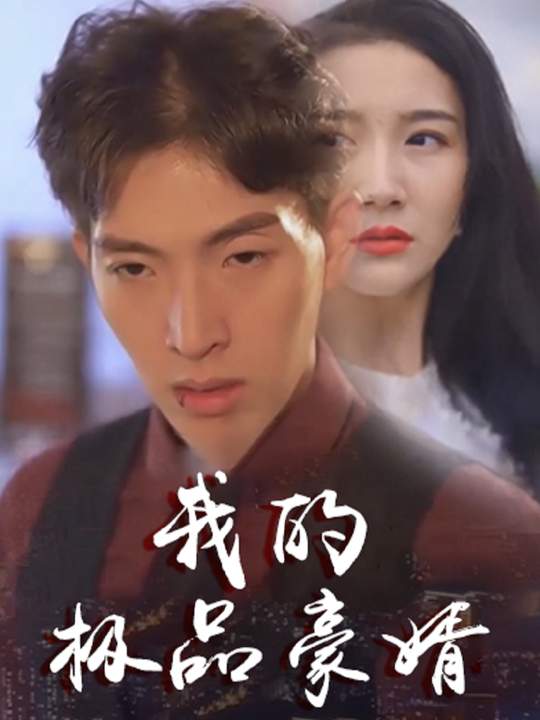 我的极品豪婿封面