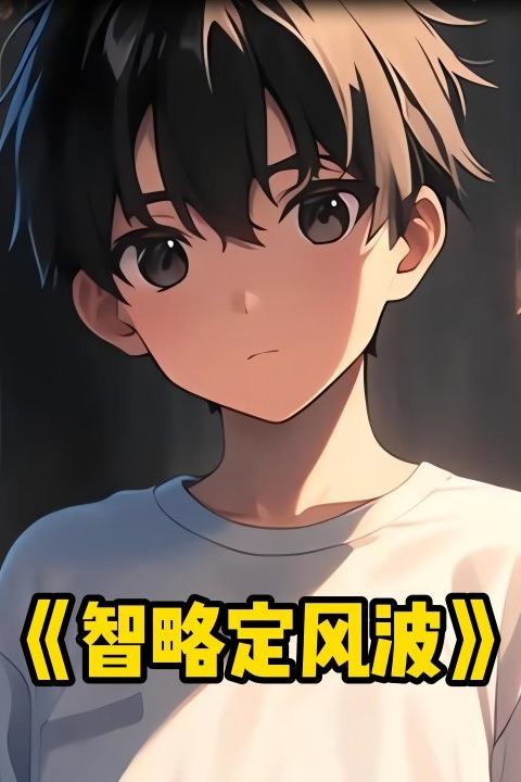 智略定风波封面