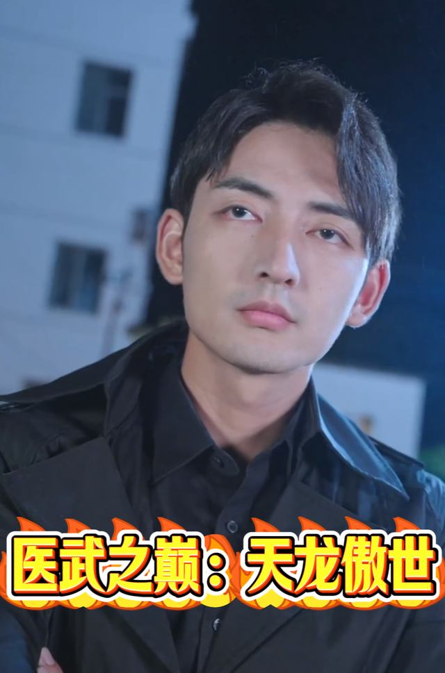 医武之巅:天龙傲世封面