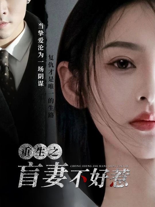 重生之盲妻不好惹封面