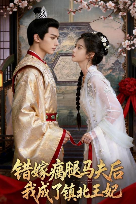 错嫁瘸腿马夫后我成了镇北王妃封面