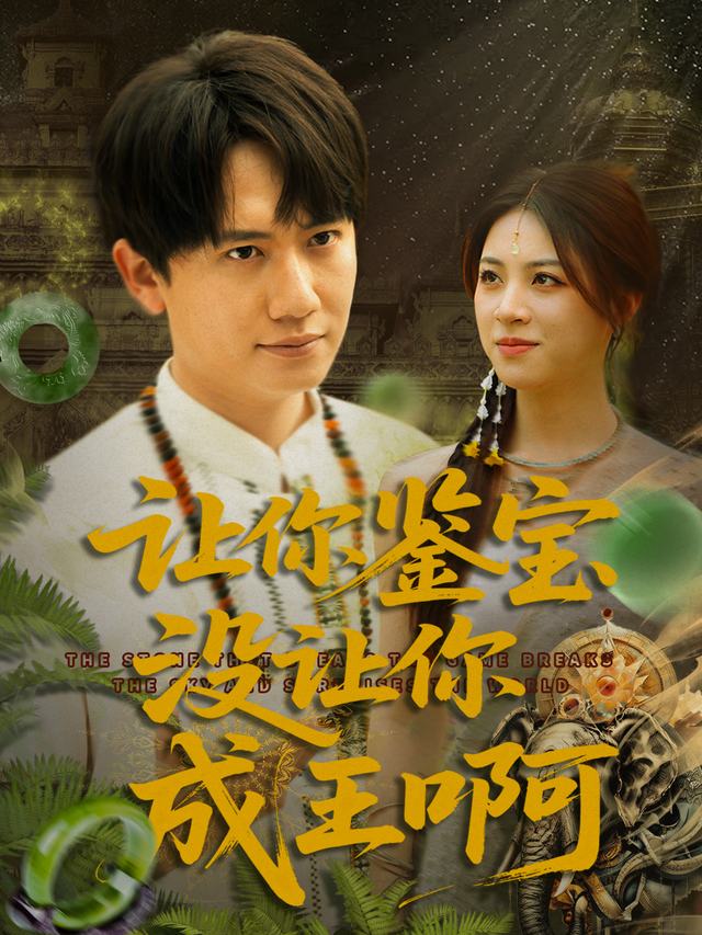 让你鉴宝没让你成王啊封面