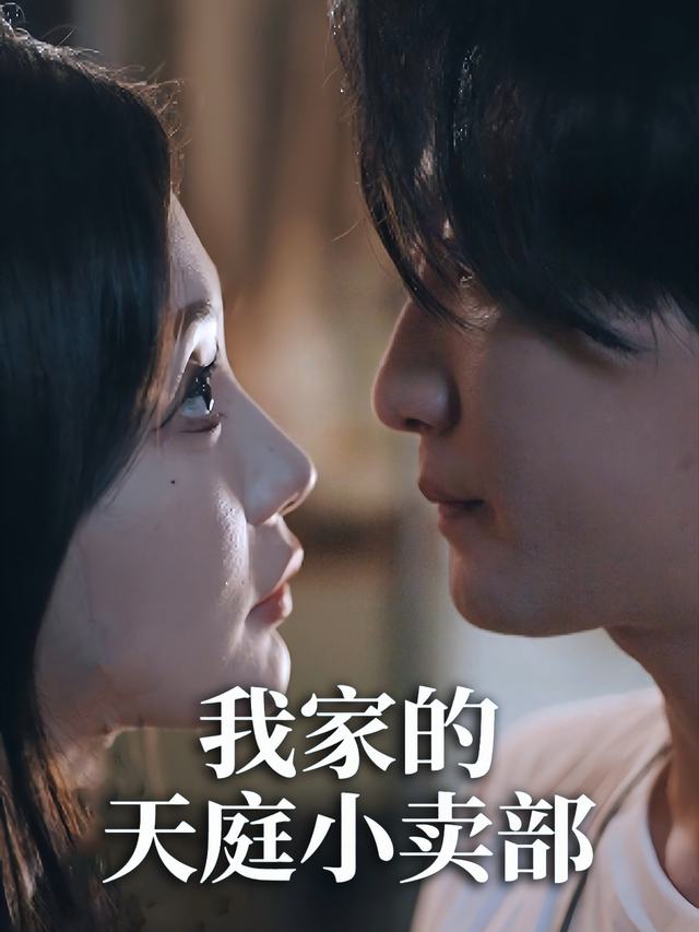 我家的天庭小卖部封面