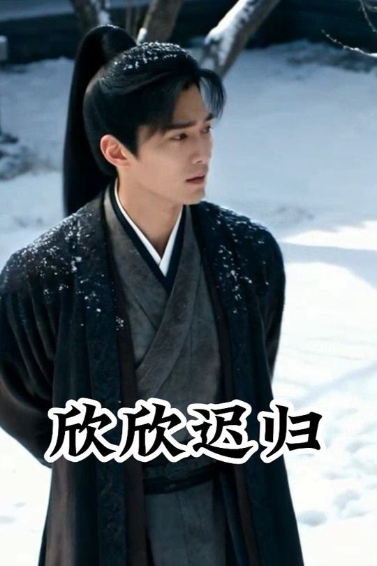 欣欣迟归封面