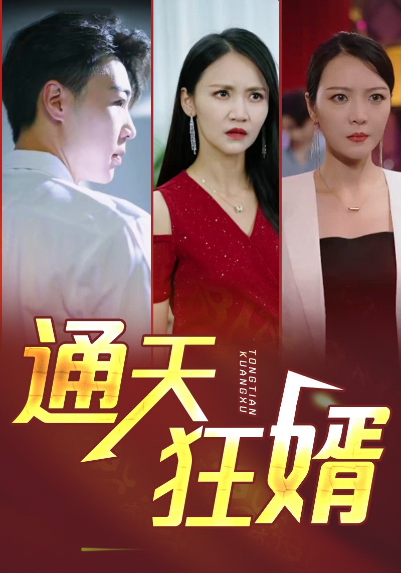 通天狂婿封面