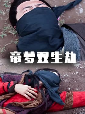帝梦双生劫封面