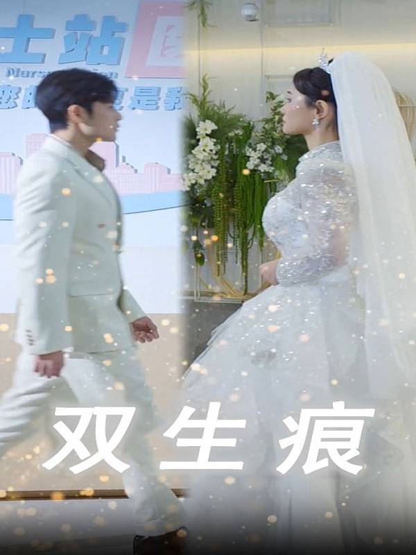 双生痕封面