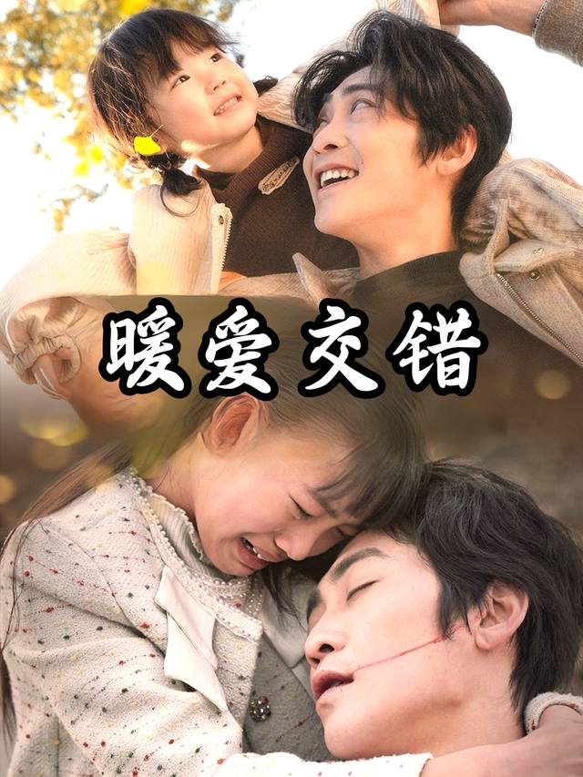 暖爱交错封面