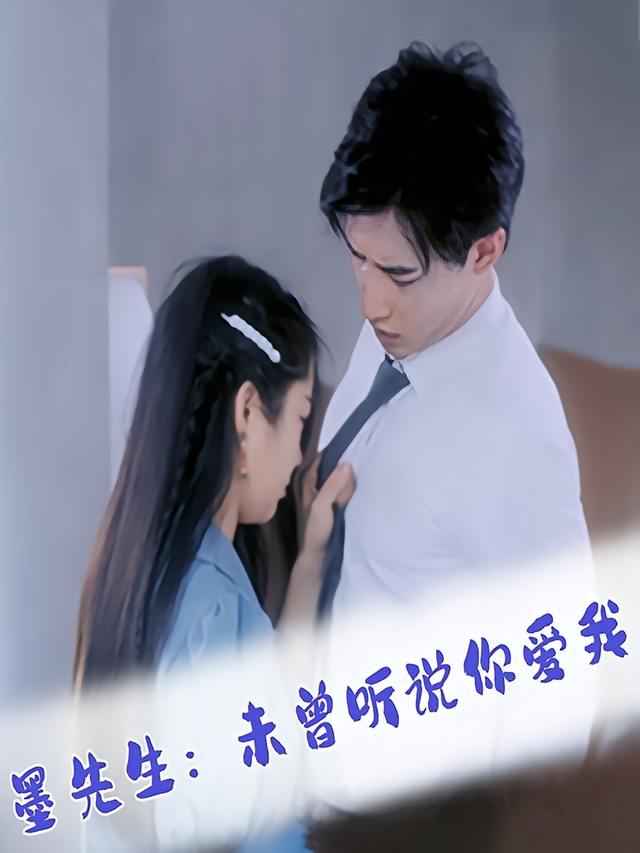 墨先生:未曾听说你爱我封面