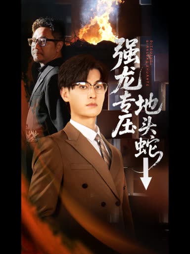 强龙专压地头蛇↓封面