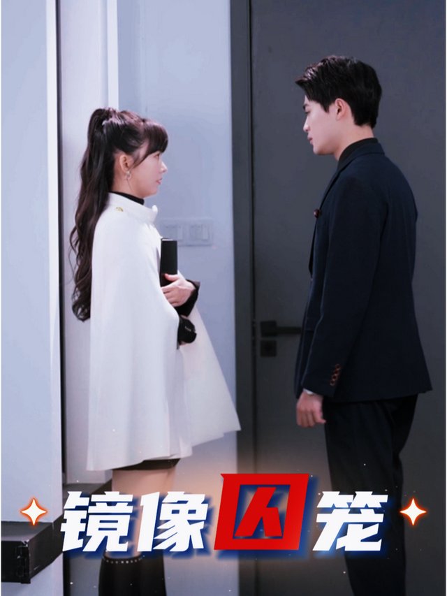 镜像囚笼封面