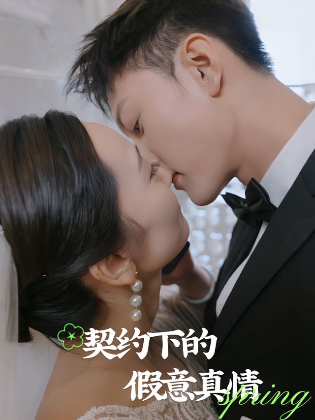 契约下的假意真情封面