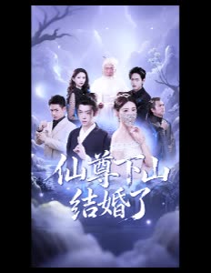 仙尊下山结婚了封面