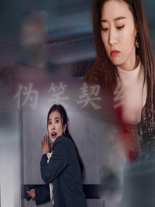 伪笑契约封面