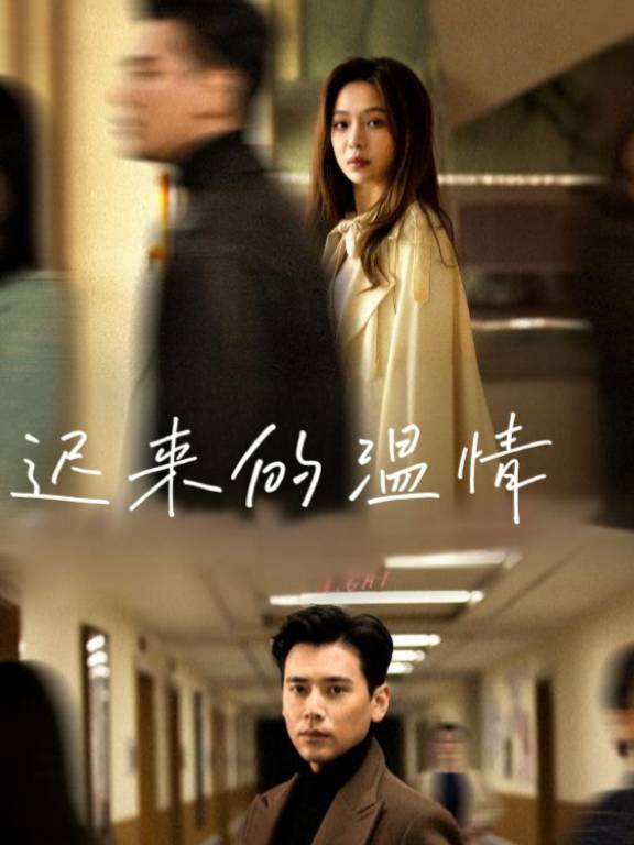 迟来的温情封面