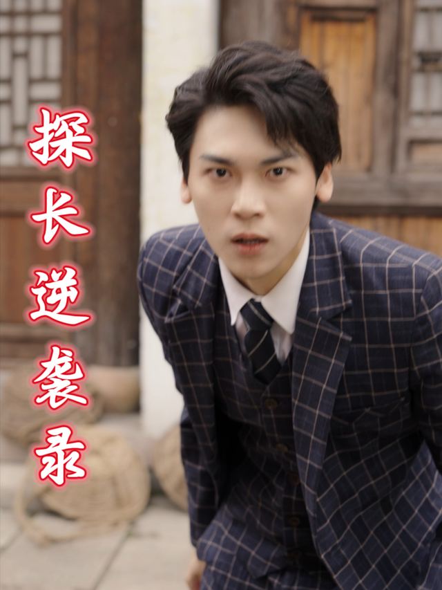 探长逆袭录封面