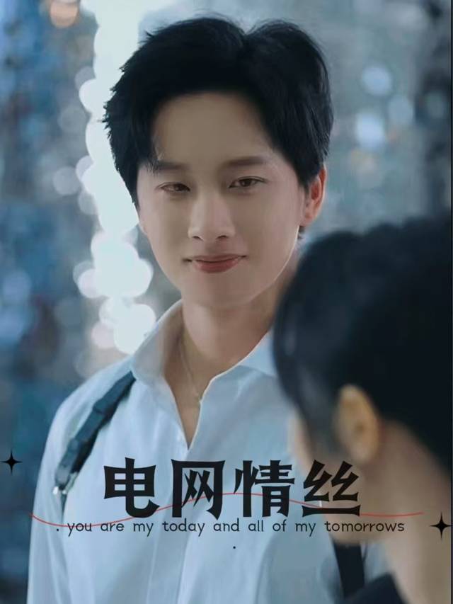 电网情丝封面