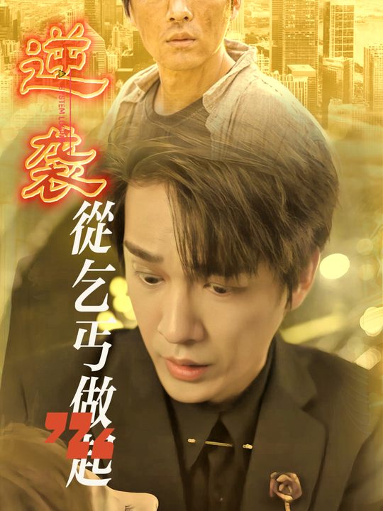 逆袭从乞丐做起封面