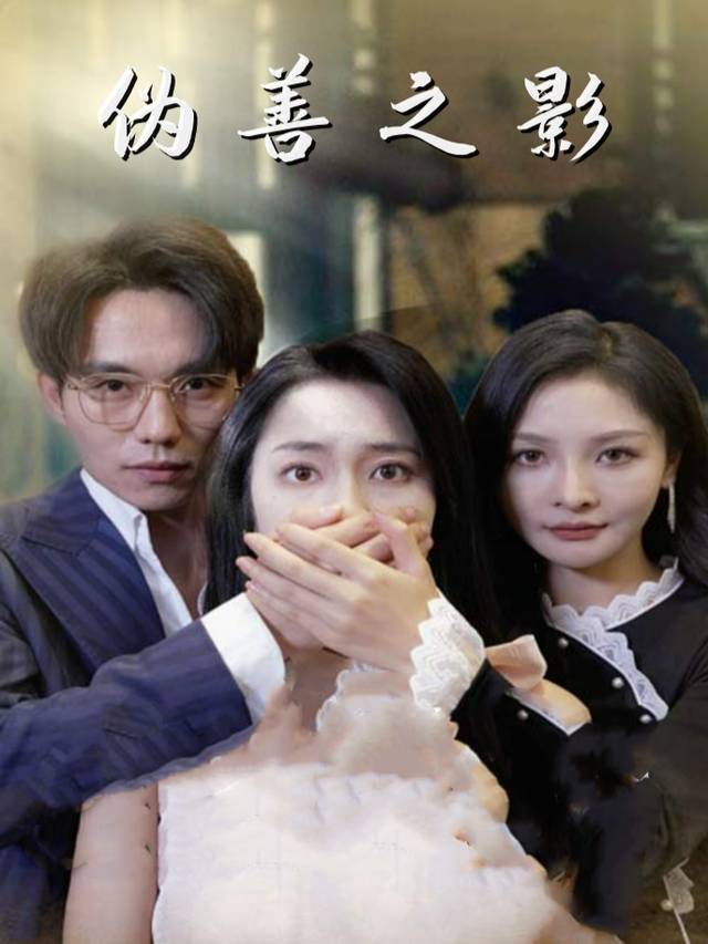 伪善之影封面