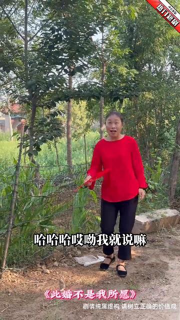 此婚不是我所愿封面