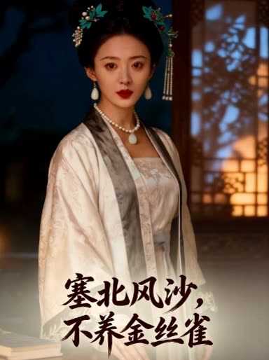 塞北风沙,不养金丝雀封面