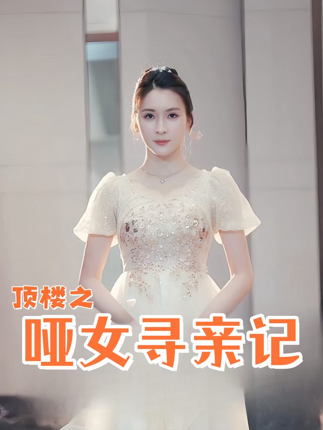 顶楼之哑女寻亲记封面