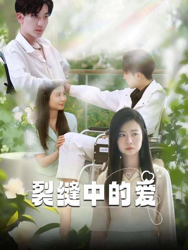 裂缝中的爱封面