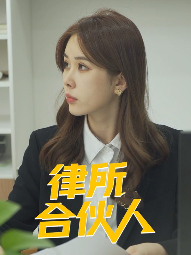 律所合伙人封面