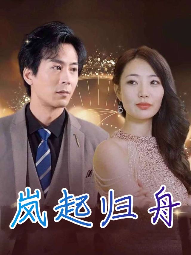 岚起归舟封面