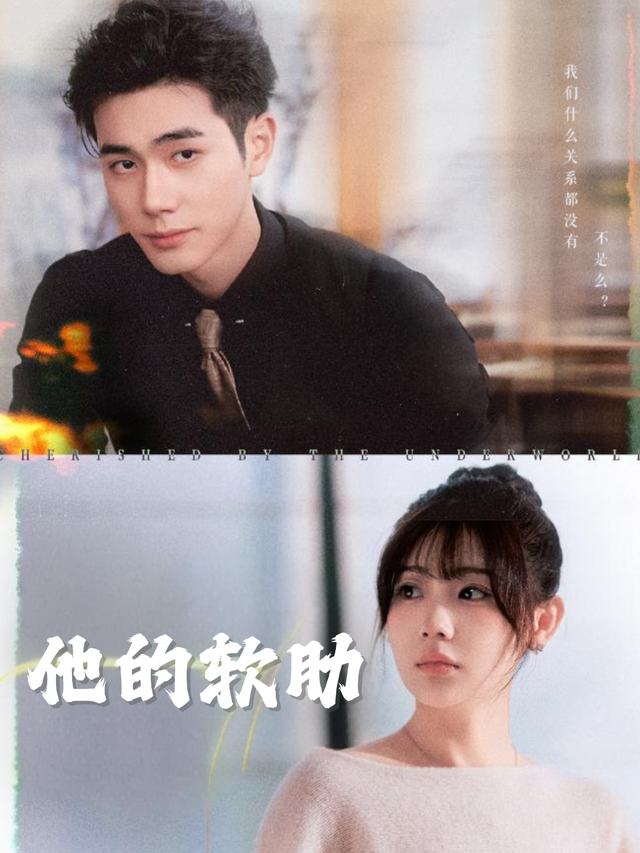 他的软肋封面