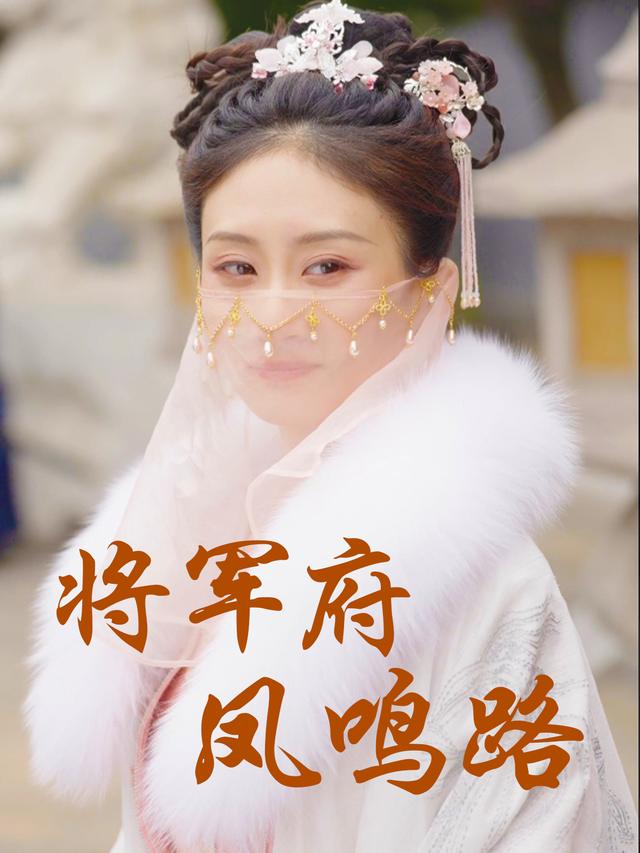 将军府凤鸣路封面