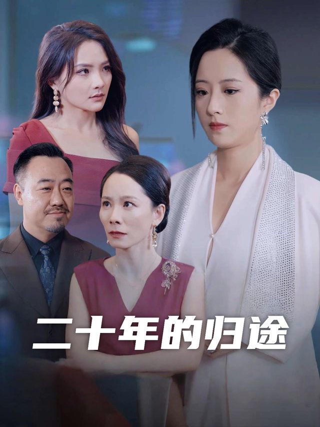 二十年的归途封面