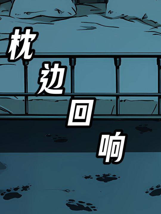 枕边回响封面
