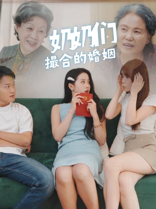 奶奶们撮合的婚姻封面