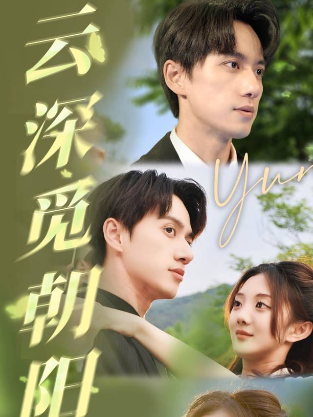云深觅朝阳封面