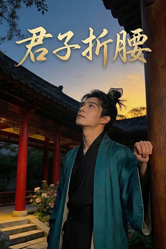 君子折腰封面