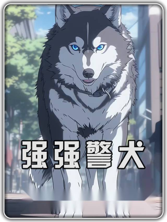 强强警犬封面