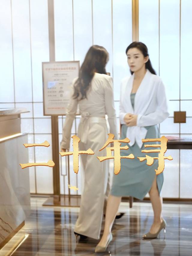 二十年寻封面