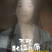 不可触碰的痛封面